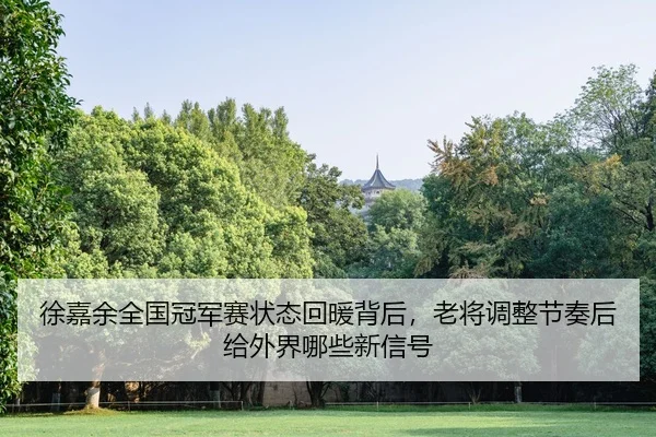 徐嘉余全国冠军赛状态回暖背后，老将调整节奏后给外界哪些新信号